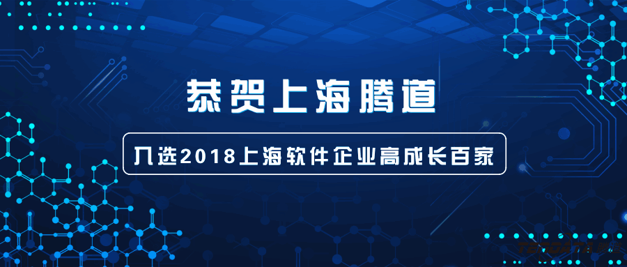 上海软件企业高成长百家,上海MK SPORTS集团官网,经信委,上海MK SPORTS集团官网信息技术有限公司